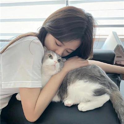 戈德堡一家第七季